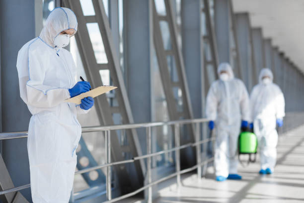 Best Mold-Related Health Consultation  in Diaz, AR