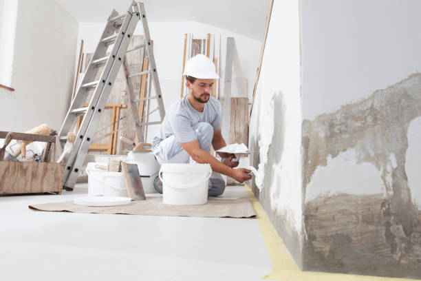 Best Mold Removal for HVAC Installations  in Diaz, AR