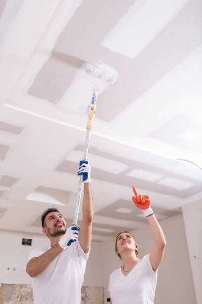 Mold Documentation for Insurance Claims in Diaz, AR