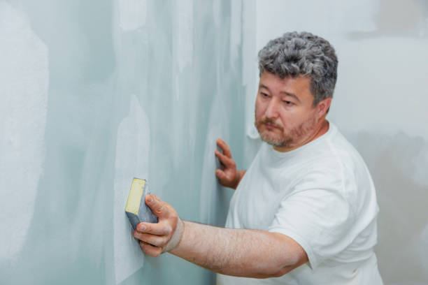 Best Mold Prevention Services  in Diaz, AR