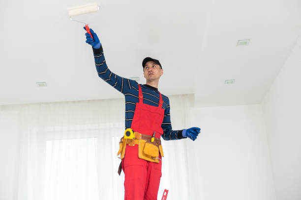 Best Crawl Space Mold Remediation  in Diaz, AR