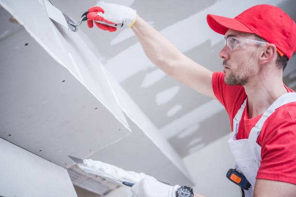 Best Attic Mold Removal  in Diaz, AR