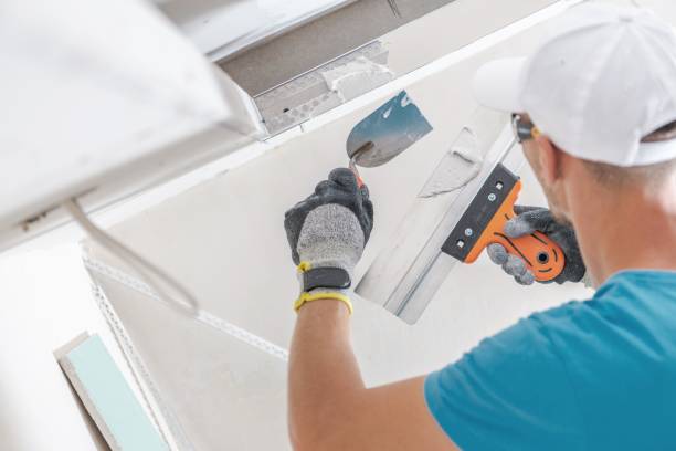 Diaz, AR Mold Removal Company